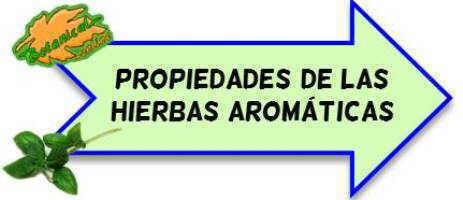 propiedades hierbas