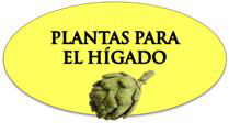 Remedios para el hígado