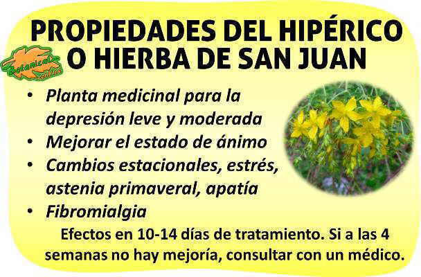 Propiedades hiperico o hierba de san juan para la depresion