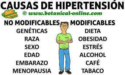 causas de hipertension