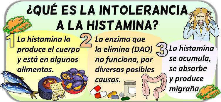 Intolerancia a la histamina como causa de síntomas digestivos crónicos en pacientes pediátricos