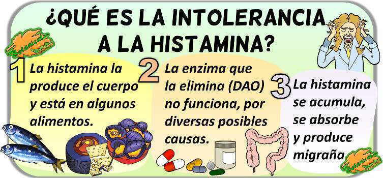 Alimentos que aumentan histamina