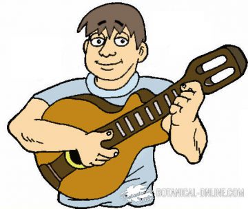 dibujo musico guitarra española