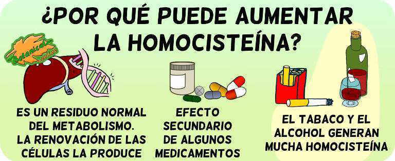 homocisteina alta