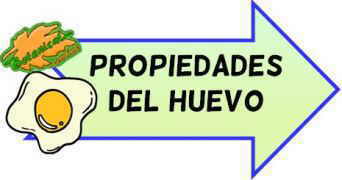 propiedades del huevo