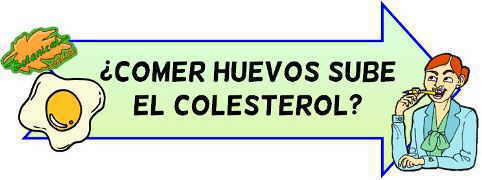 comer huevo sube colesterol