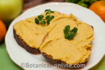 tostadas con hummus