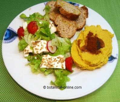 Hummus plato combinado con pan