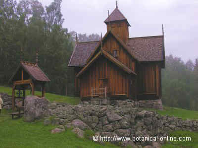 iglesia de madera