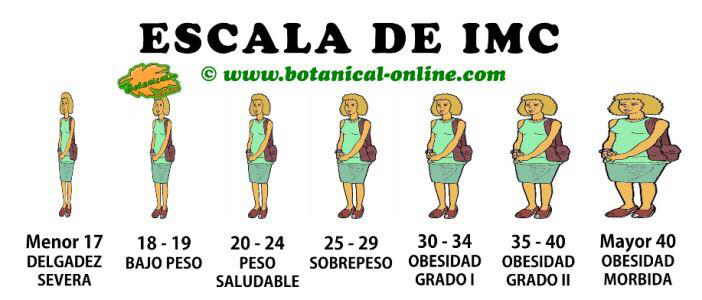 Escala imc visual en imagenes de personas bajo peso normopeso obesidad