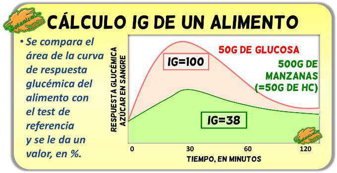 como calcular test de indice glucemico y curva de respuesta test ig