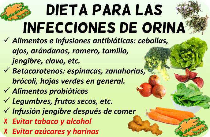 dieta para las infecciones de orina