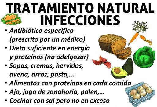 tratamiento natural infecciones enfermedades infecciosas, antibiótico y dieta