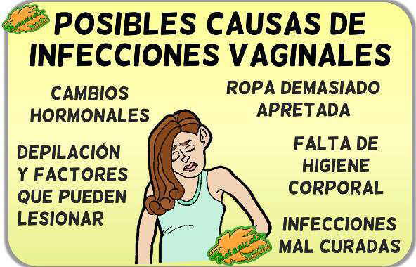 hacer una infección por levaduras causa micción frecuente hacer una infección por levaduras causa micción frecuente