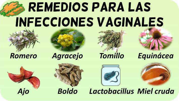 remedios naturales caseros infecciones vaginales plantas para tratamiento natural