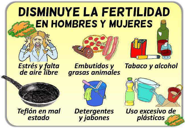 alimentos que causan infertilidad malos para fertilidad y embarazo