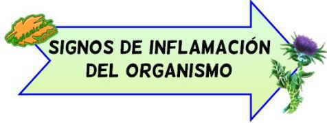 sintomas inflamacion organismo