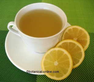 Infusion de limon y miel