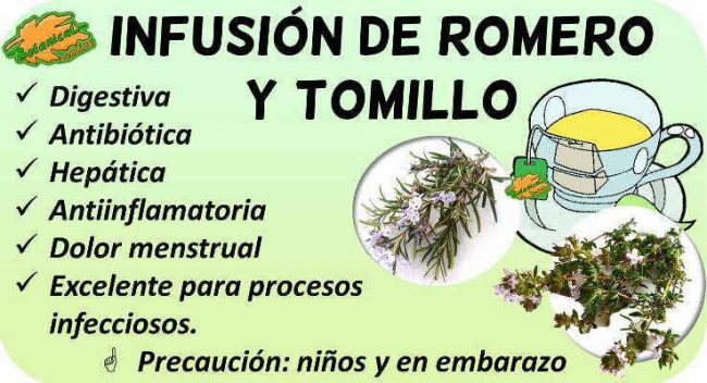 propiedades de la infusion de romero y tomillo beneficios