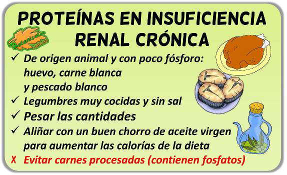 dieta insuficiencia renal proteinas alimentos recomendados