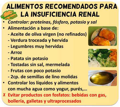 dieta insuficiencia renal proteinas alimentos