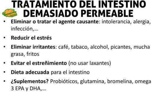 tratamiento para sindrome intestino permeable agujereado hiperpermeabilidad intestinal