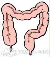 intestino colon dibujo