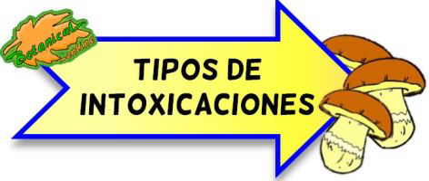 tipos de intoxicaciones por setas