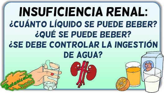 cuanto liquido se puede beber insuficiencia renal cronica