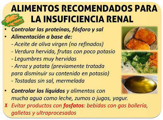 dieta insuficiencia renal proteinas alimentos