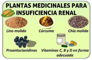 Suplementos nutricionales en insuficiencia renal crónica – Botanical-online
