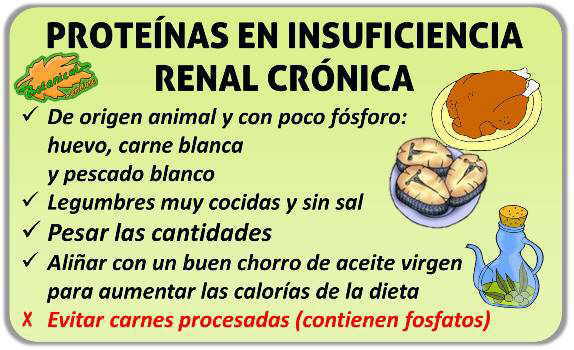 dieta insuficiencia renal proteinas alimentos