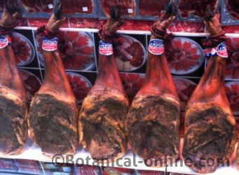 expositor paleta de jamon