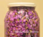 jarabe de violetas casero remedio