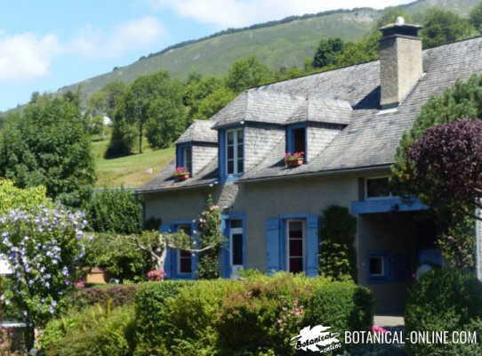 casa con jardin naturaleza