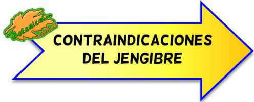 contraindicaciones jengibre