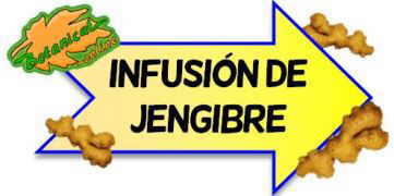 infusion de jengibre