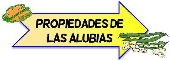 propiedades judias alubias porotos