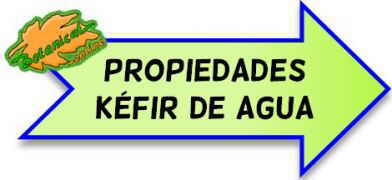 kefir de agua propiedades