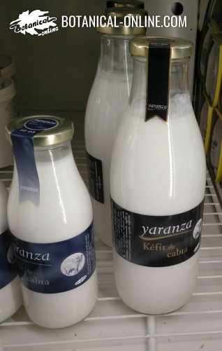 Kefir de leche de cabra