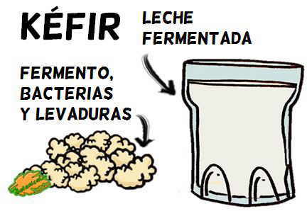 dibujo de kefir y fermentos de kefir definicion