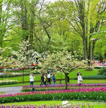 jardin keukenhof holanda tulipanes