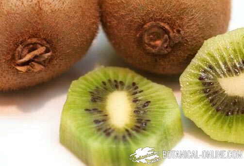 kiwi abierto 