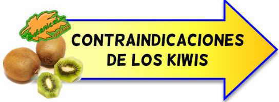 contraindicaciones de los kiwis