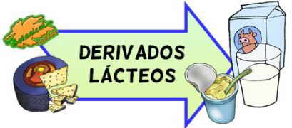 derivados lácteos