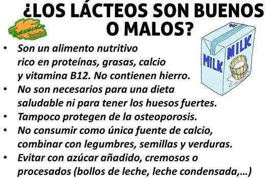 propiedades leche y lacteos si o no buenos o malos