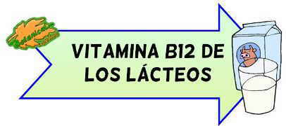 vitamina b12 de los lacteos