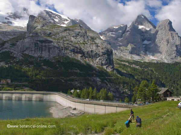 lago fedaia