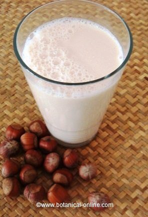 Leche de avellanas