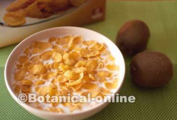 Tazón de cereales para el desayuno